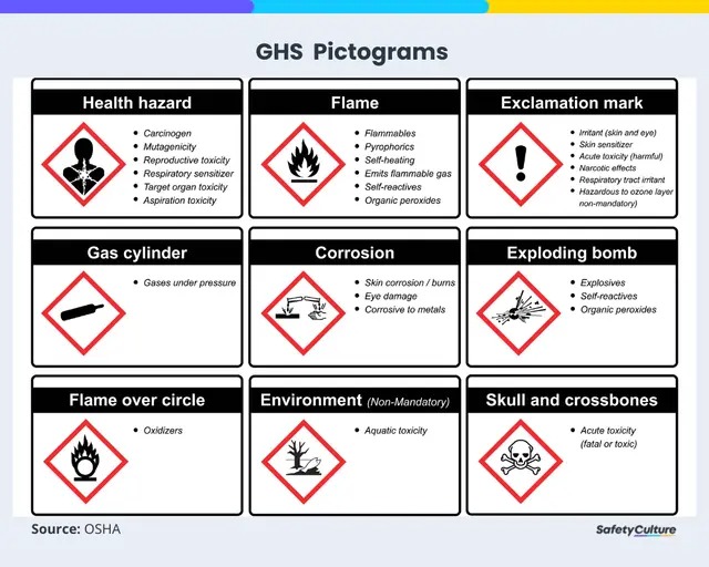 whatsapp image 2025 10 07 at 17.57.39 e83a9efe